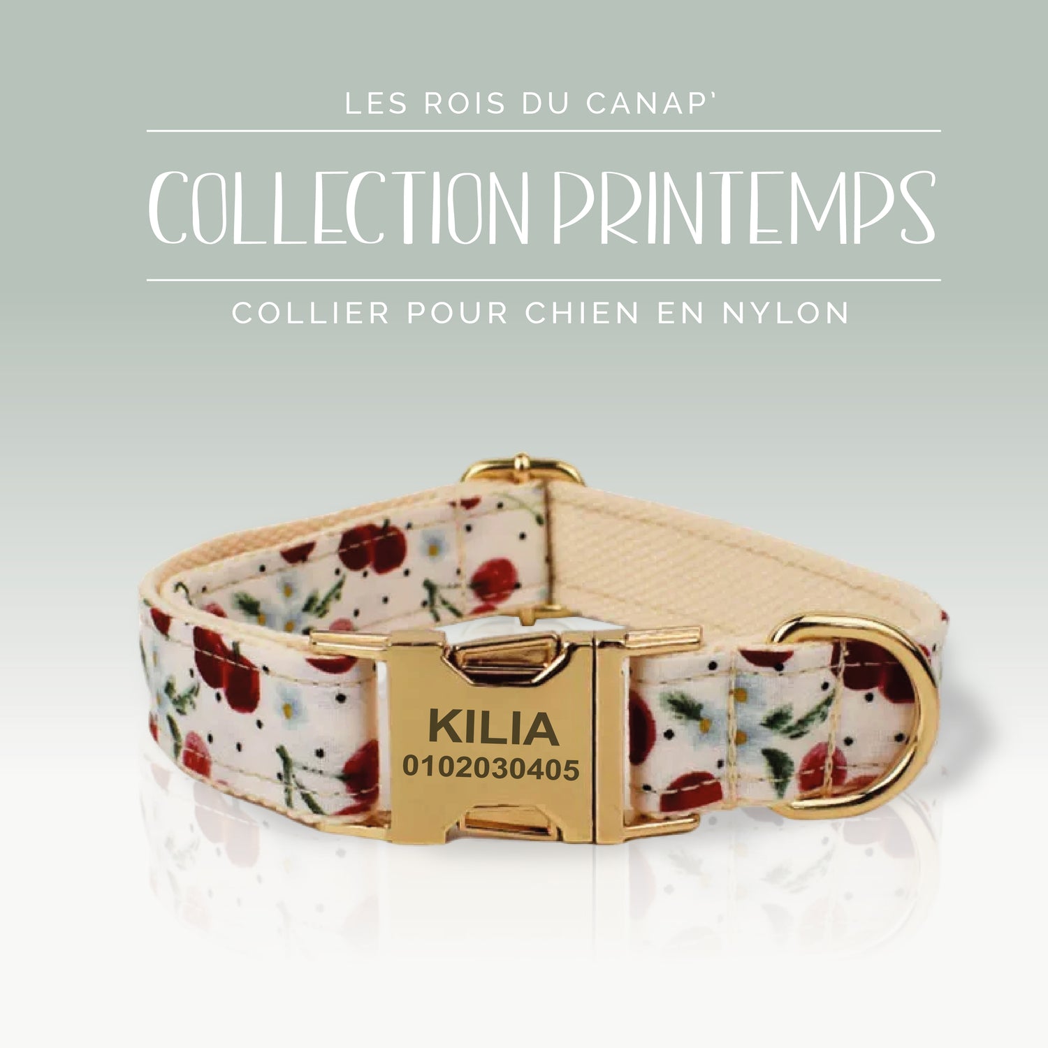 Collier Chien Personnalisé - Collection Printemps - Cerise