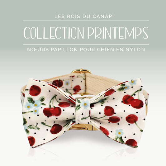 Nœud Papillon Chien - Printemps - Cerise - Collier Nœud Papillon Chien - Printemps - Cerise