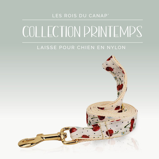 Laisse Chien - Printemps - Cerise - Collier Laisse Chien - Printemps - Cerise