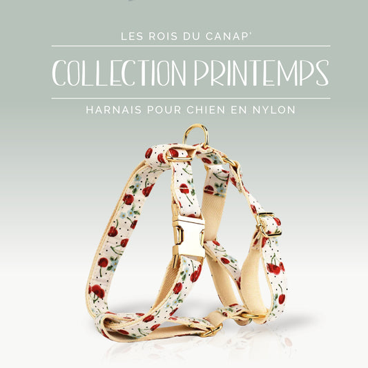 Harnais Chien - Printemps - Cerise - Collier Harnais Chien - Printemps - Cerise
