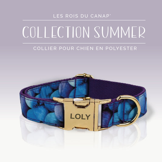 Collier Chien Personnalisé - Collection Summer - Bulle Bleu