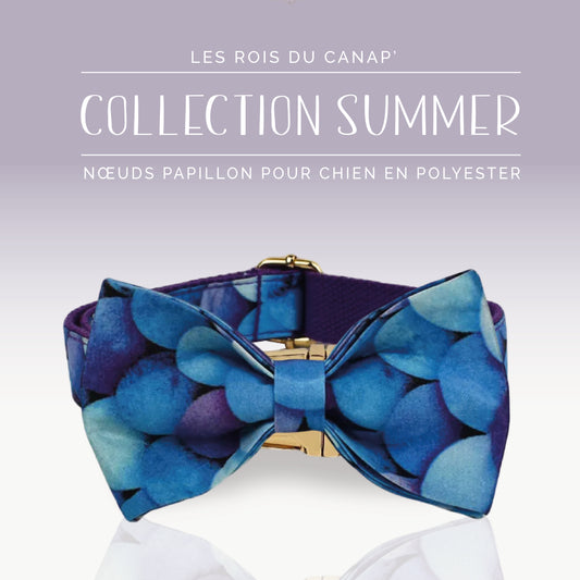 Nœud Papillon Chien - Summer - Bulle Bleue - Collier Nœud Papillon Chien - Summer - Bulle Bleue