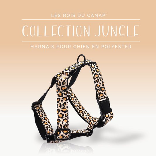 Harnais Chien - Jungle - Léopard Noir - Collier Harnais Chien - Jungle - Léopard Noir