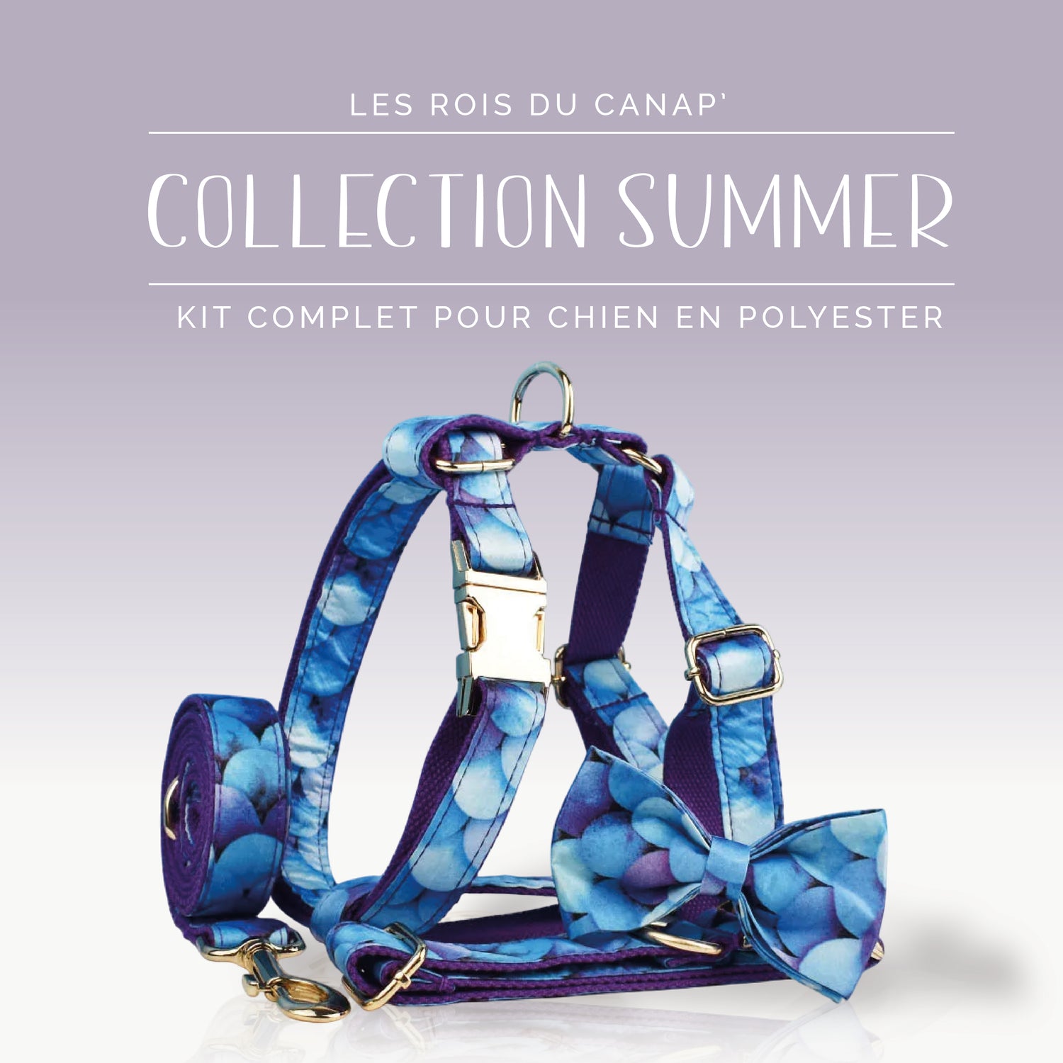  Kit Complet Chien 4 pièces - Summer - Bulle Bleue