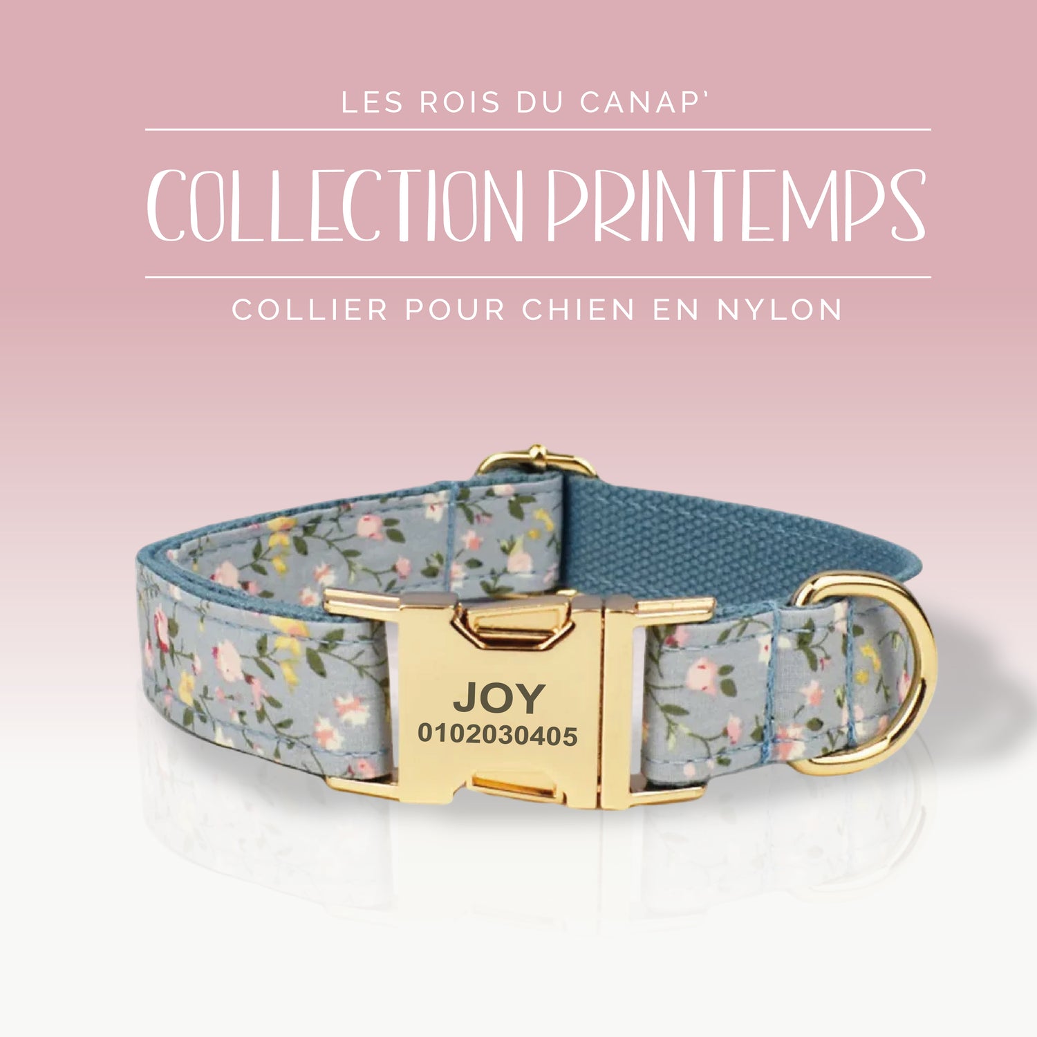 Collier Chien Personnalisé - Collection Printemps - Bleu à fleur