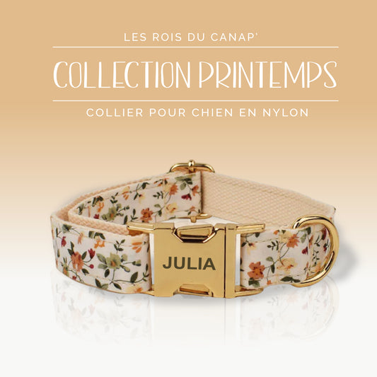 Collier Chien Personnalisé - Collection Printemps - Beige à Fleur