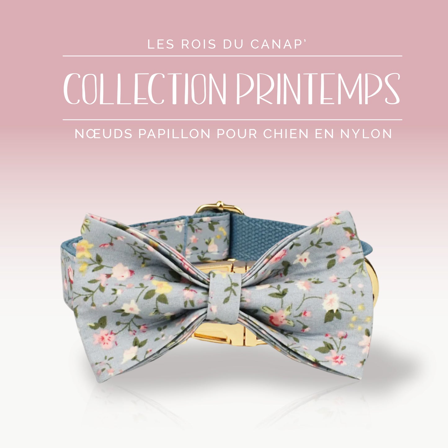 Nœud Papillon Chien - Printemps - Bleu à fleurs - Collier Nœud Papillon Chien - Printemps - Bleu à fleurs