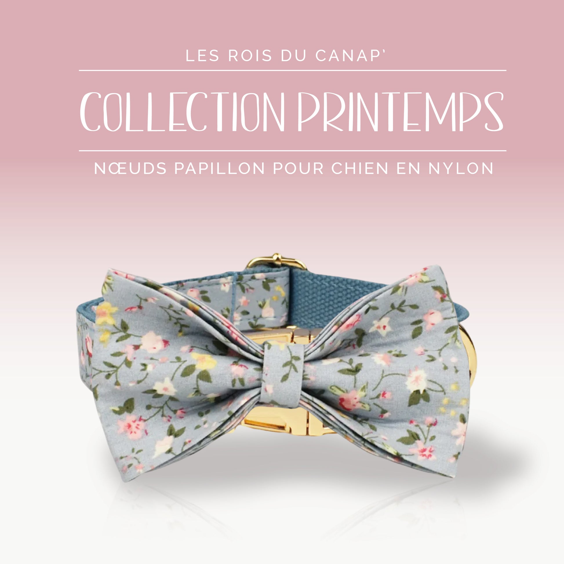 Nœud Papillon Chien - Printemps - Bleu à fleurs - Collier Nœud Papillon Chien - Printemps - Bleu à fleurs