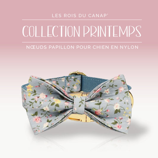 Nœud Papillon Chien - Printemps - Bleu à fleurs - Collier Nœud Papillon Chien - Printemps - Bleu à fleurs