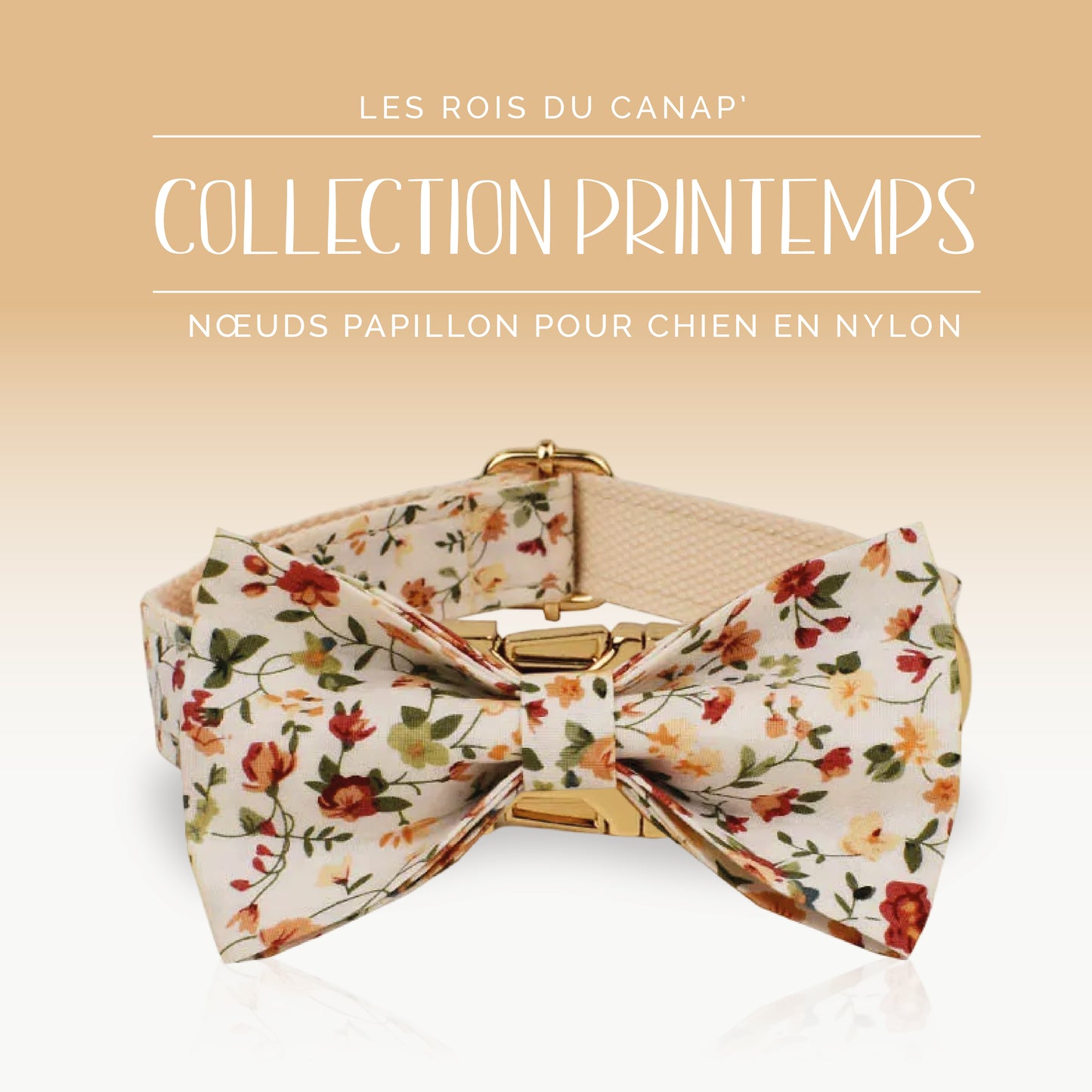 Nœud Papillon Chien - Printemps - Beige à fleurs - Collier Nœud Papillon Chien - Printemps - Beige à fleurs