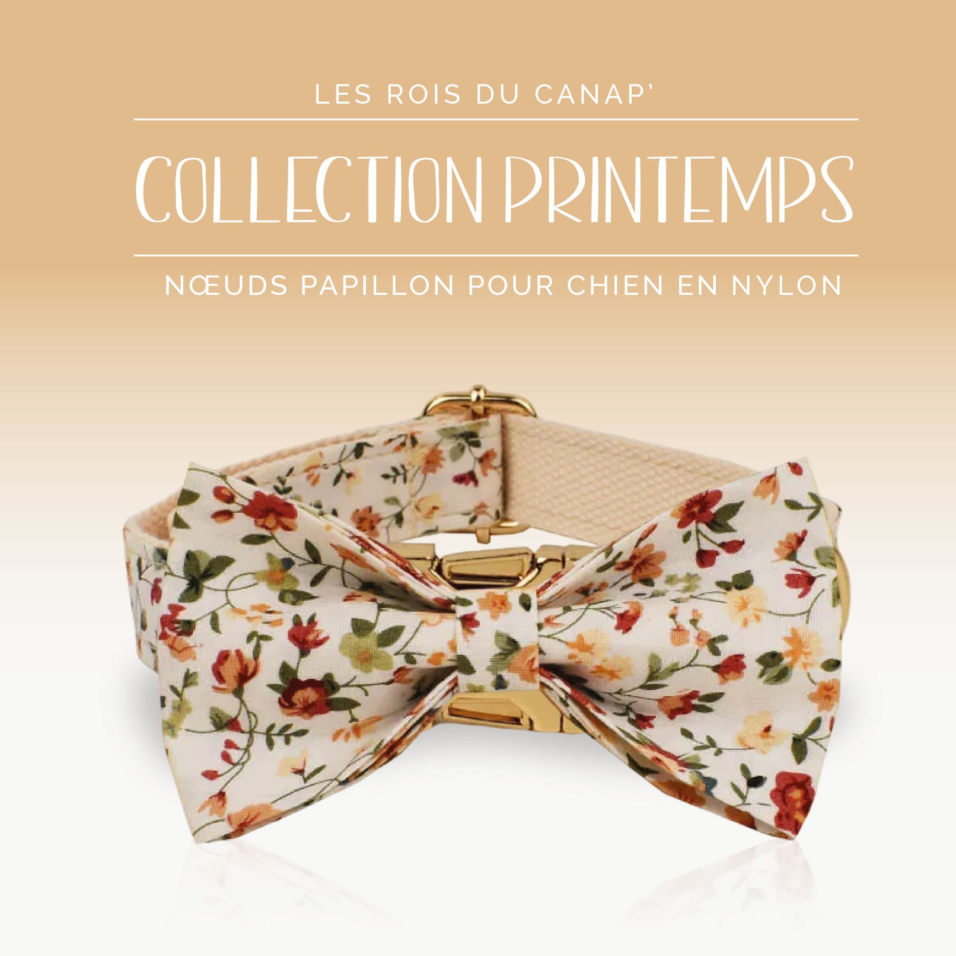Nœud Papillon Chien - Printemps - Beige à fleurs - Collier Nœud Papillon Chien - Printemps - Beige à fleurs