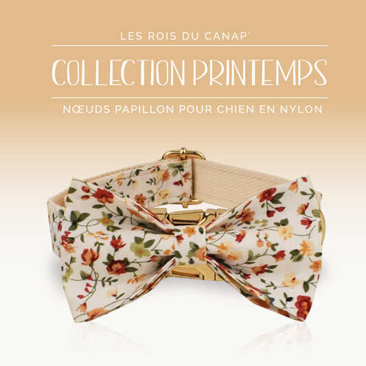 Nœud Papillon Chien - Printemps - Beige à fleurs - Collier Nœud Papillon Chien - Printemps - Beige à fleurs