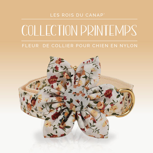 Fleur pour Collier Chien - Printemps - Beige à fleurs