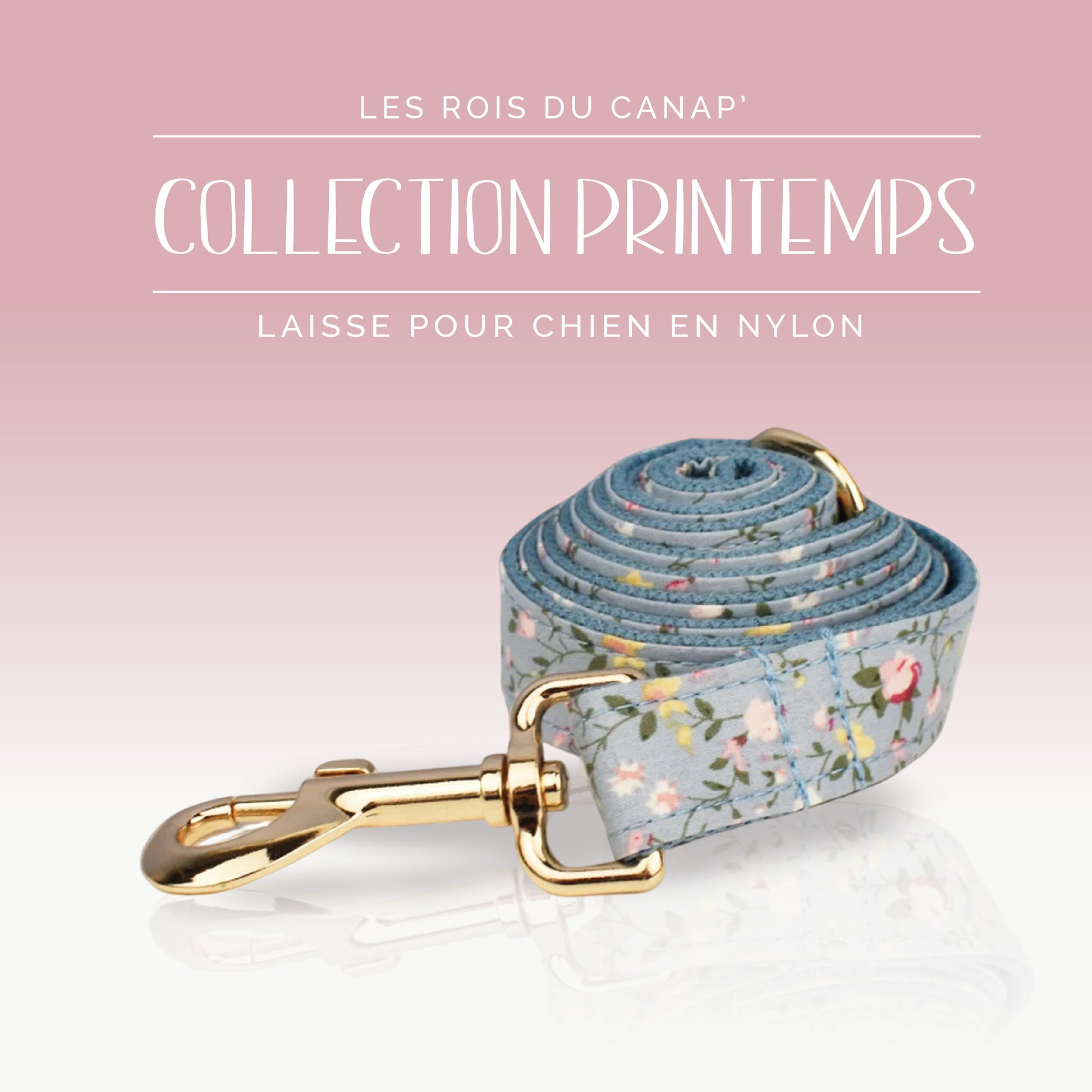 Laisse Chien - Printemps - Bleu à fleurs - Collier Laisse Chien - Printemps - Bleu à fleurs
