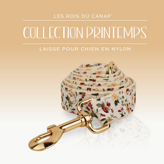 Laisse Chien - Printemps - Beige à fleurs