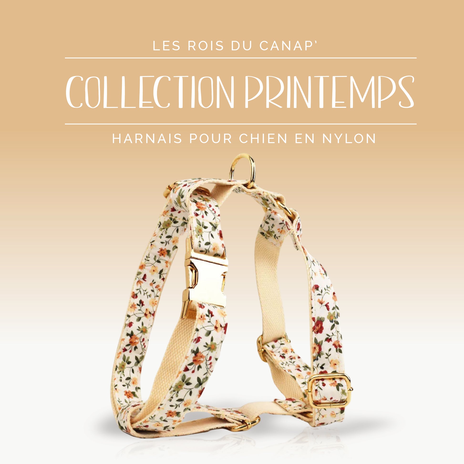 Harnais Chien - Printemps - Beige à fleurs - Collier Harnais Chien - Printemps - Beige à fleurs