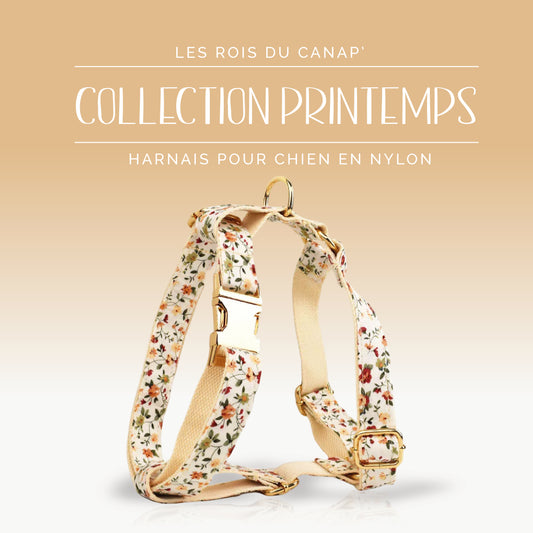 Harnais Chien - Printemps - Beige à fleurs - Collier Harnais Chien - Printemps - Beige à fleurs