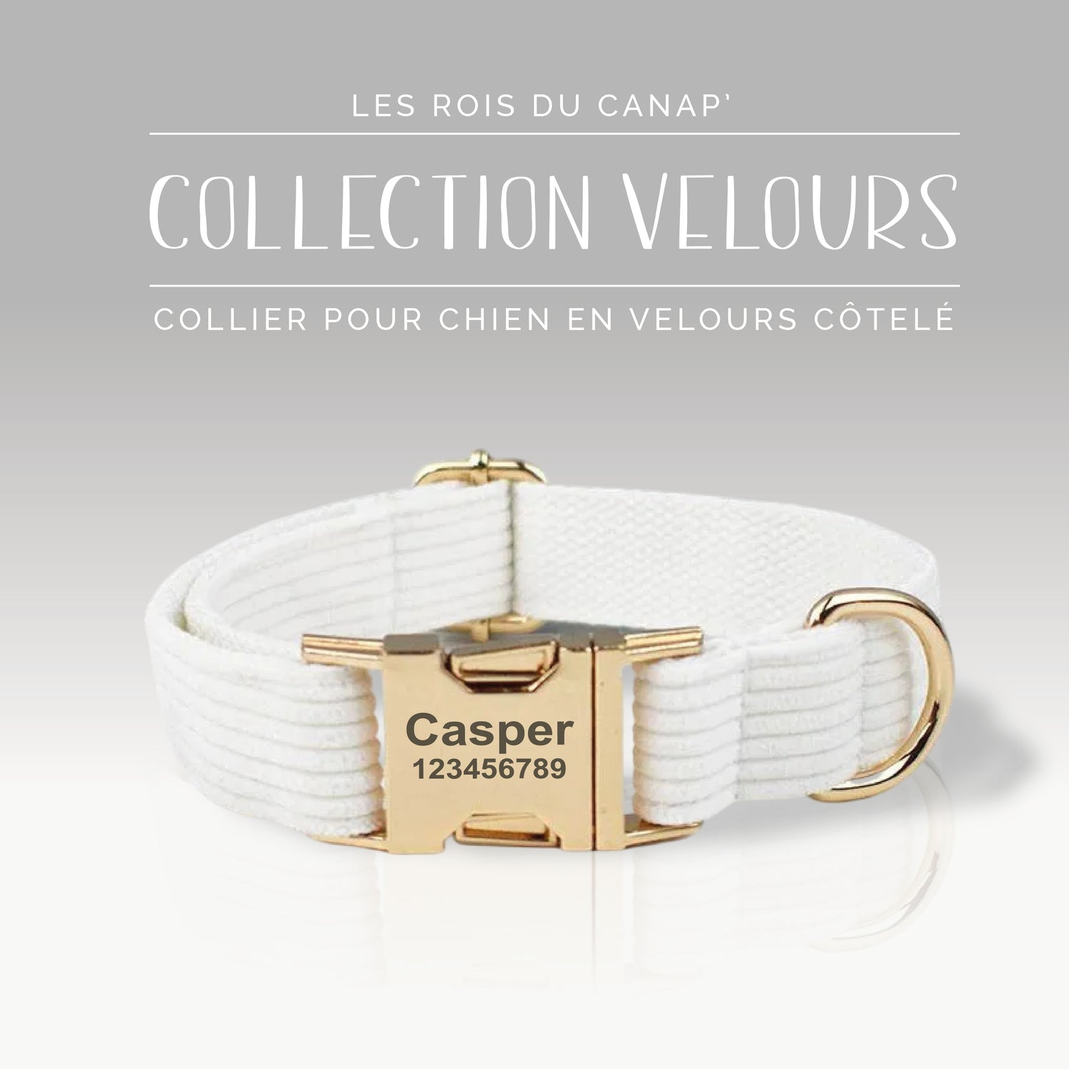 Collier Chien Personnalisé - Collection Velours - Blanc