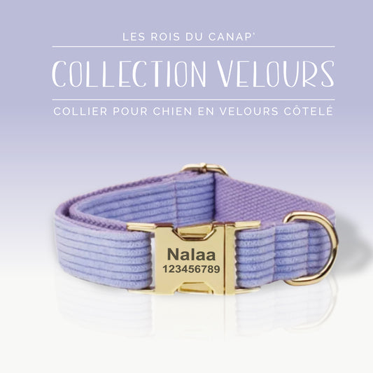 Collier Chien Personnalisé - Collection Velours - Violet Mauve