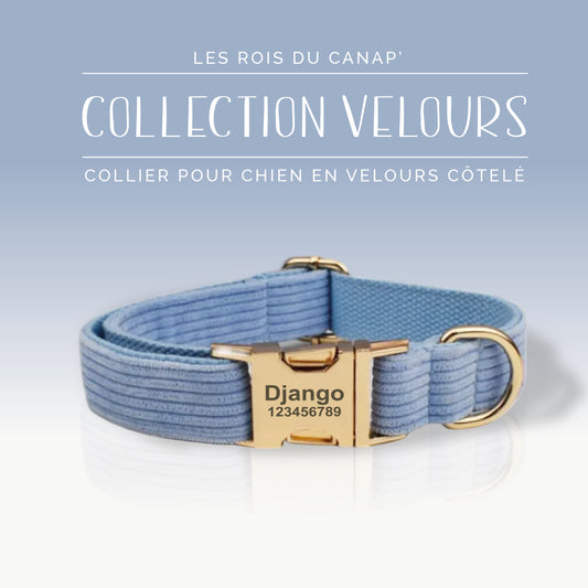 Collier Chien Personnalisé - Collection Velours - Bleu Ciel