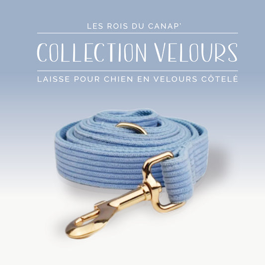  Laisse Chien - Velours - Bleu Ciel