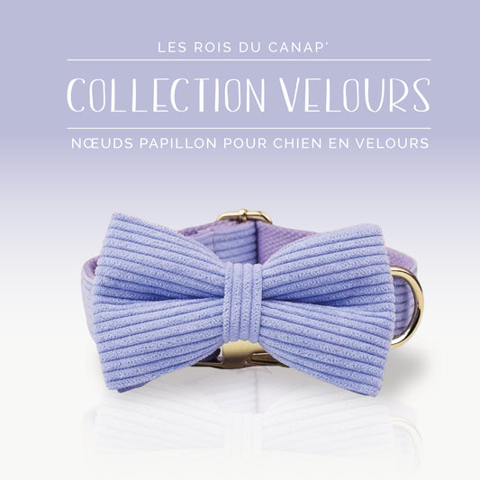 Nœud Papillon Chien - Velours - Mauve - Collier Nœud Papillon Chien - Velours - Mauve