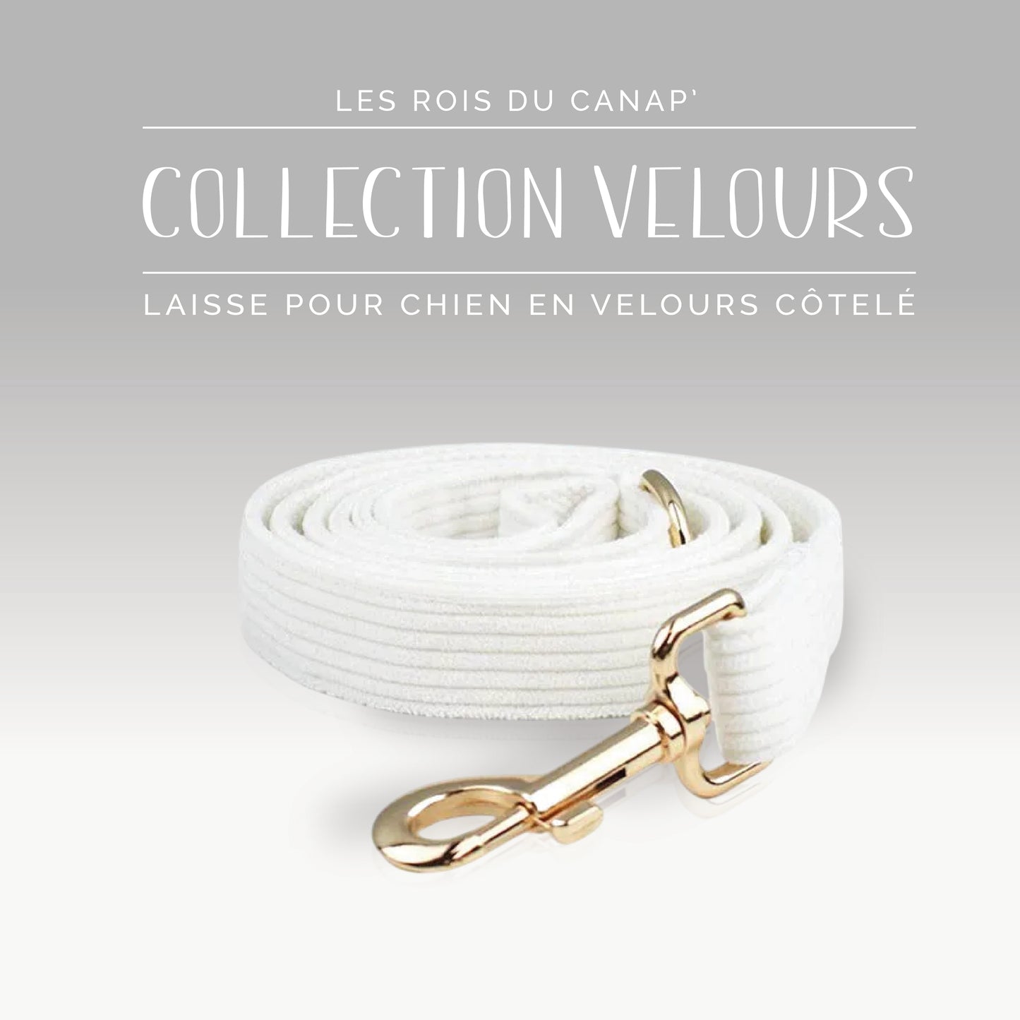 Laisse Chien - Velours - Blanc - Collier Laisse Chien - Velours - Blanc