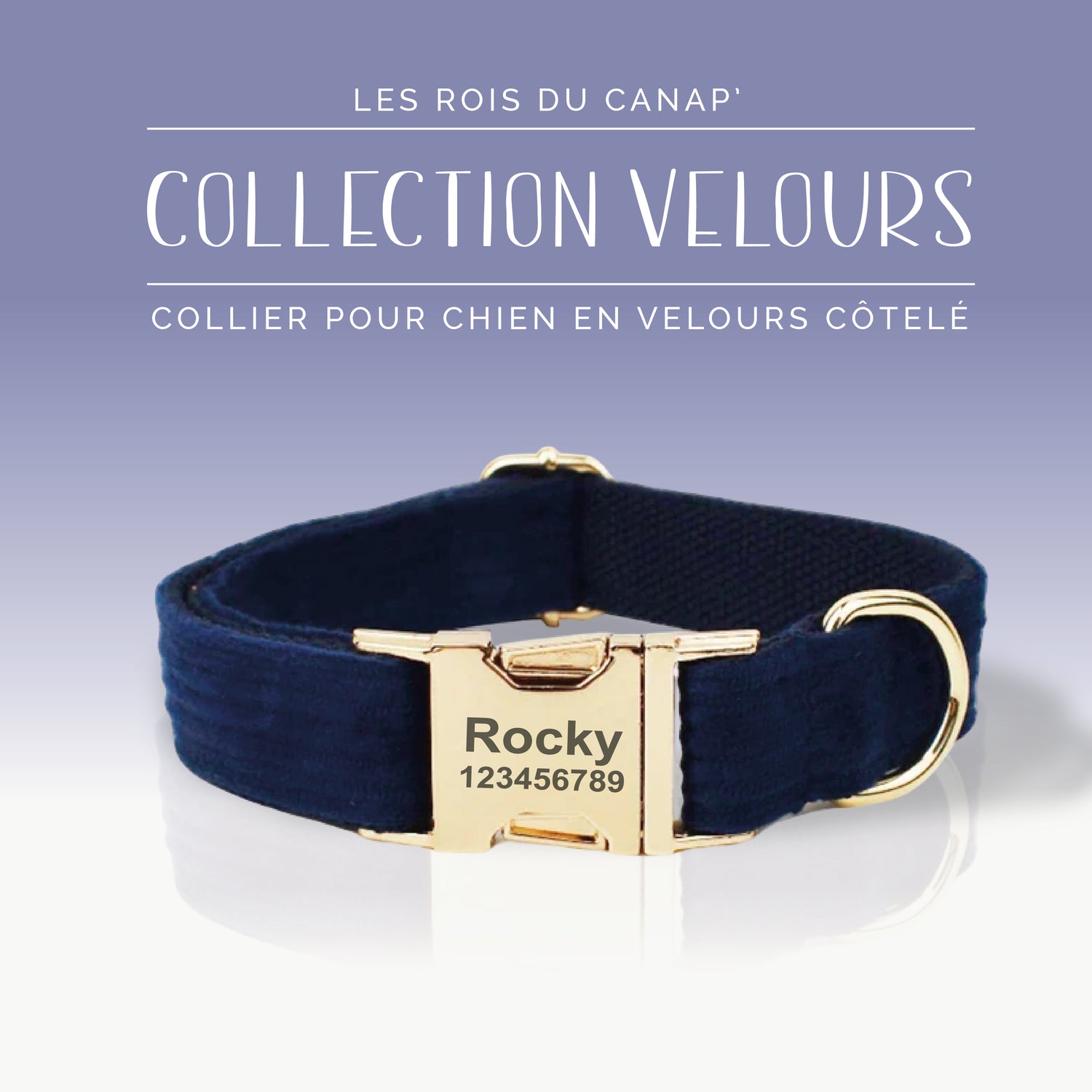 Collier Chien Personnalisé - Collection Velours - Bleu Marine