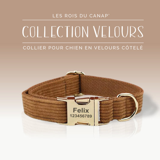 Collier Chien Personnalisé - Collection Velours - Marron