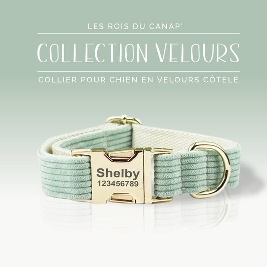 Collier Chien Personnalisé - Collection Velours - Vert Clair