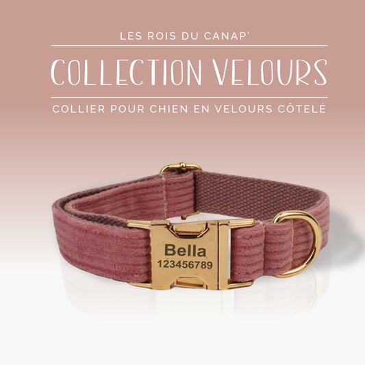 Collier Chien Personnalisé - Collection Velours - Rose Poudré