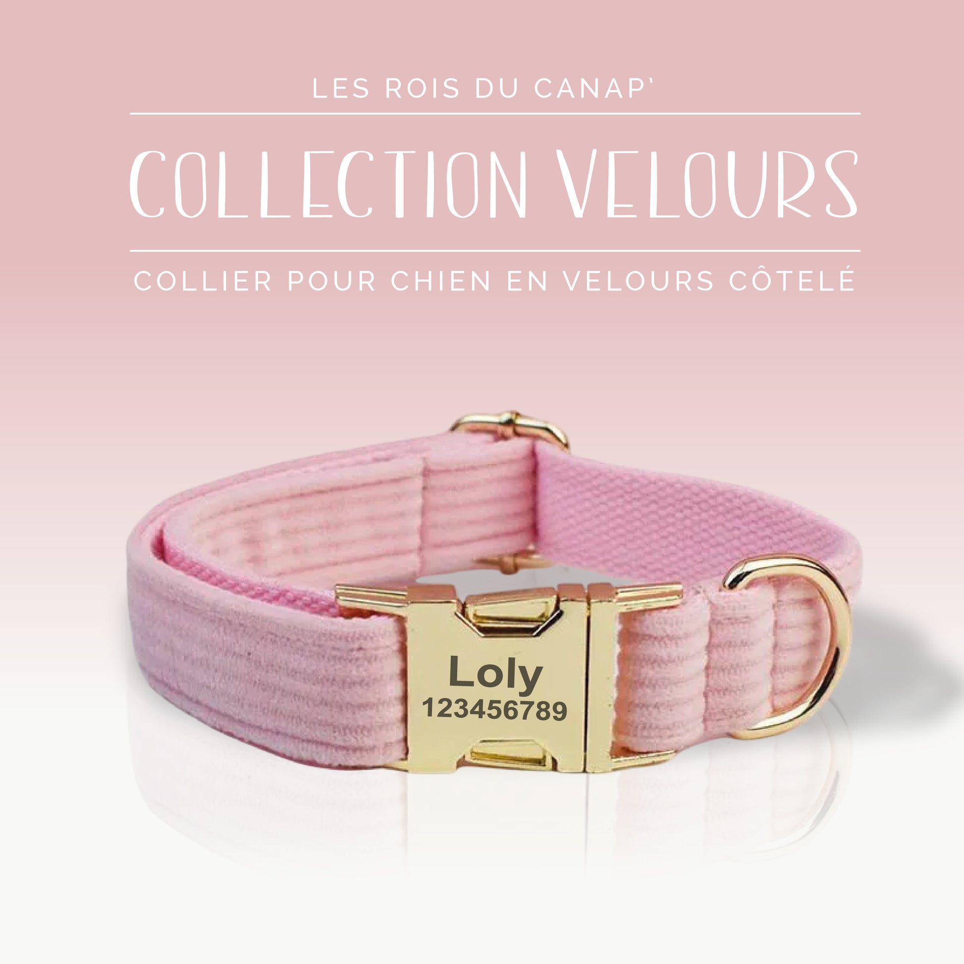 Collier Chien Personnalisé - Collection Velours - Rose Bonbon