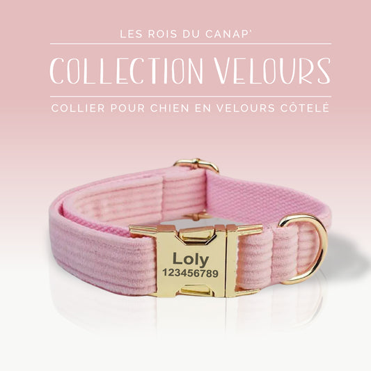 Collier Chien Personnalisé - Collection Velours - Rose Bonbon