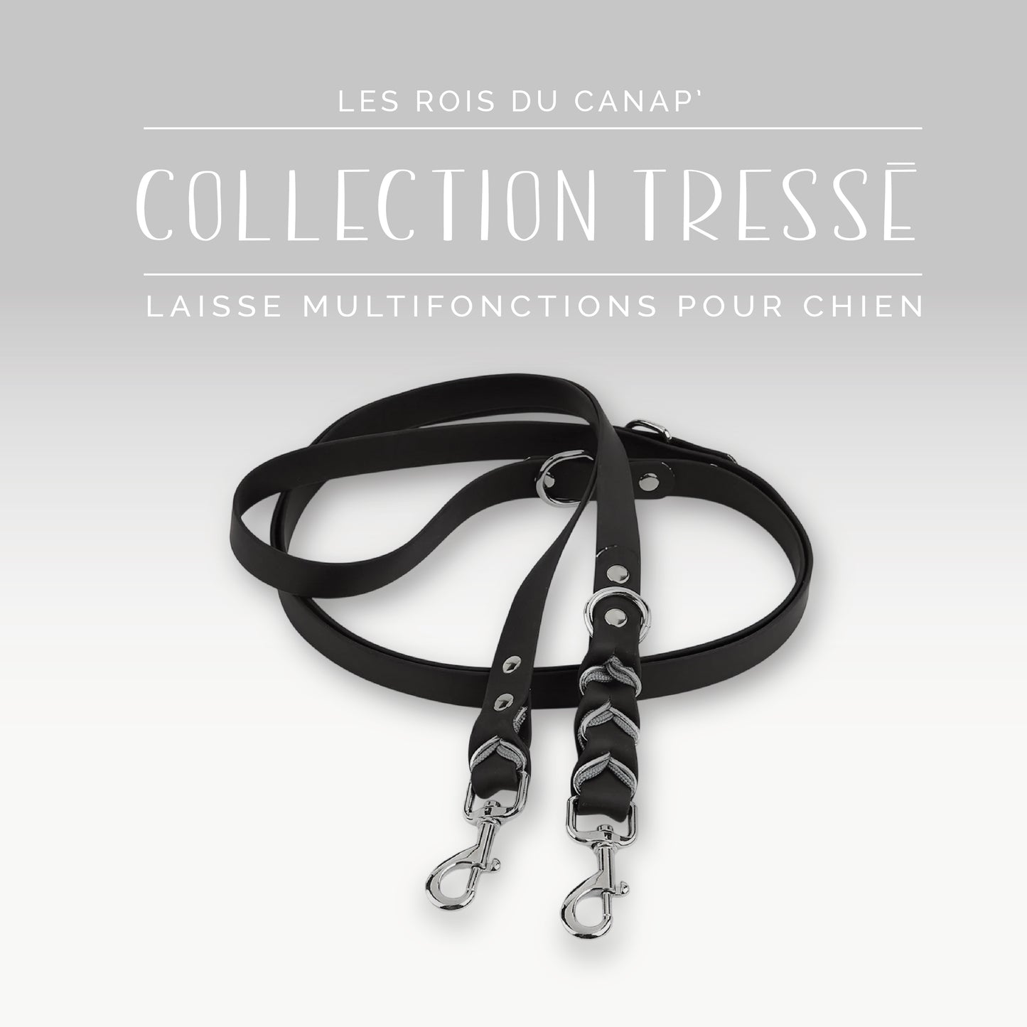 Laisse Réglable Multifonction Chien - Design Tressé Noir