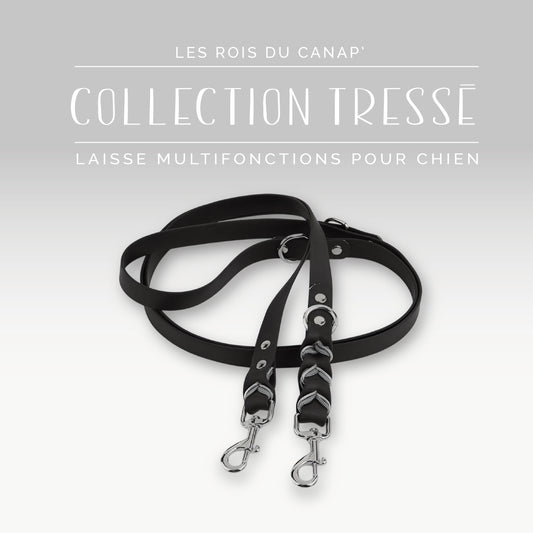 Laisse Réglable Multifonction Chien - Design Tressé Noir