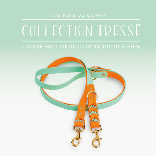 Laisse Réglable Multifonction Chien - Design Tressé Orange et Bleu