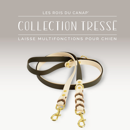 Laisse Réglable Multifonction Chien - Design Tressé Blanc