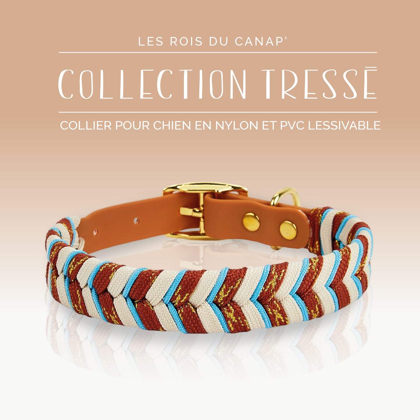 Fashion Dog Collar - Brown Braided Design