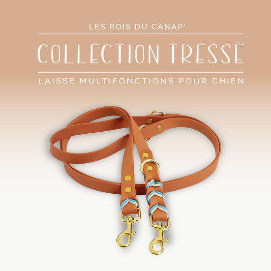 Laisse Réglable Multifonction Chien - Design Tressé Marron