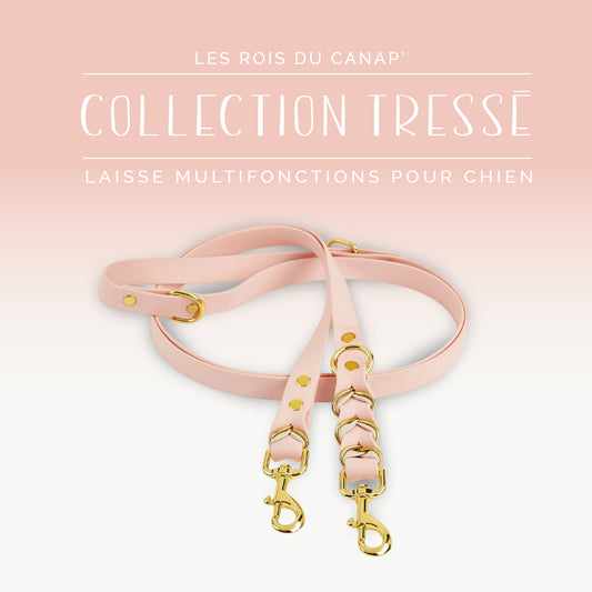 Laisse Réglable Multifonction Chien - Design Tressé Rose
