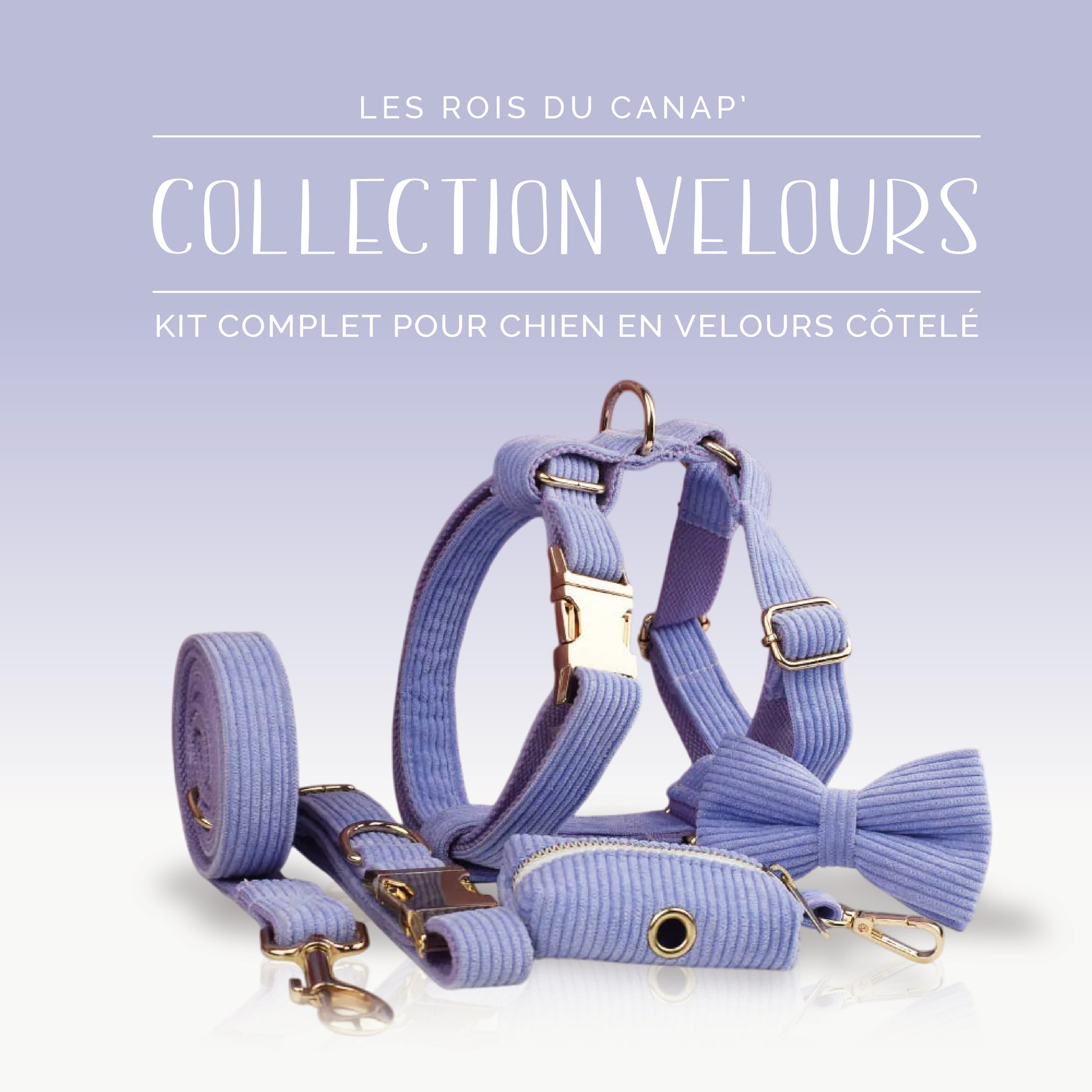 Kit Complet Chien 5 pièces - Velours - Violet Mauve