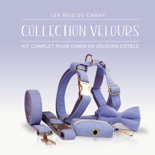 Kit Complet Chien 5 pièces - Velours - Violet Mauve