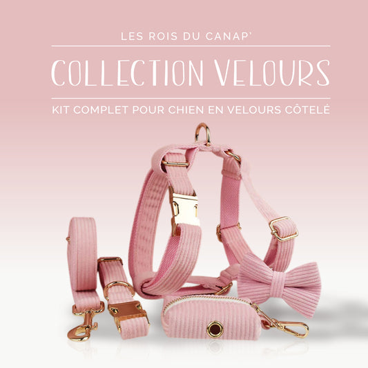  Kit Complet Chien 5 pièces - Velours - Rose Bonbon