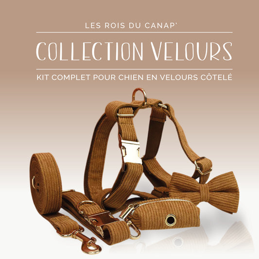 Kit Complet Chien 5 pièces - Velours - Marron
