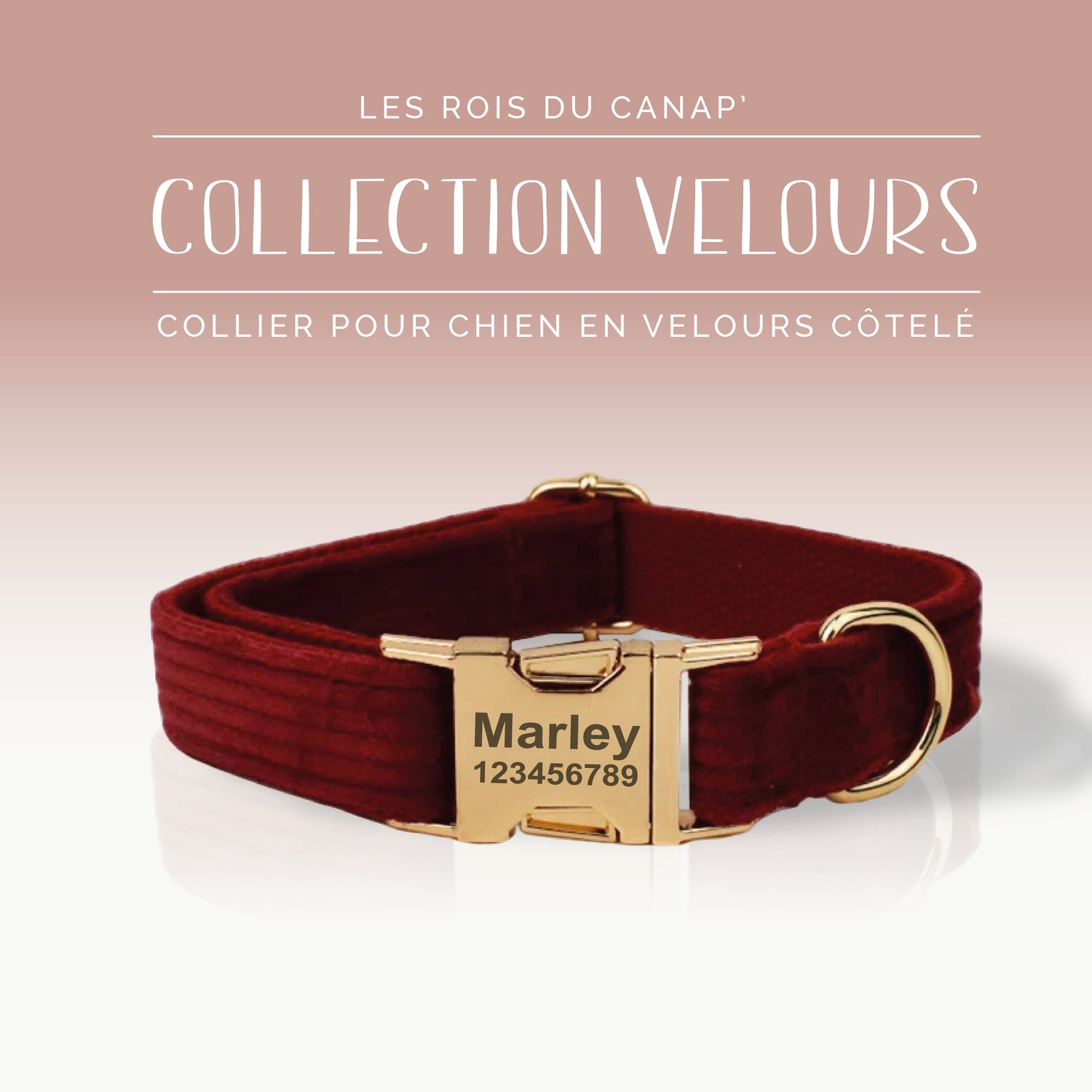 Collier Chien Personnalisé - Collection Velours - Rouge