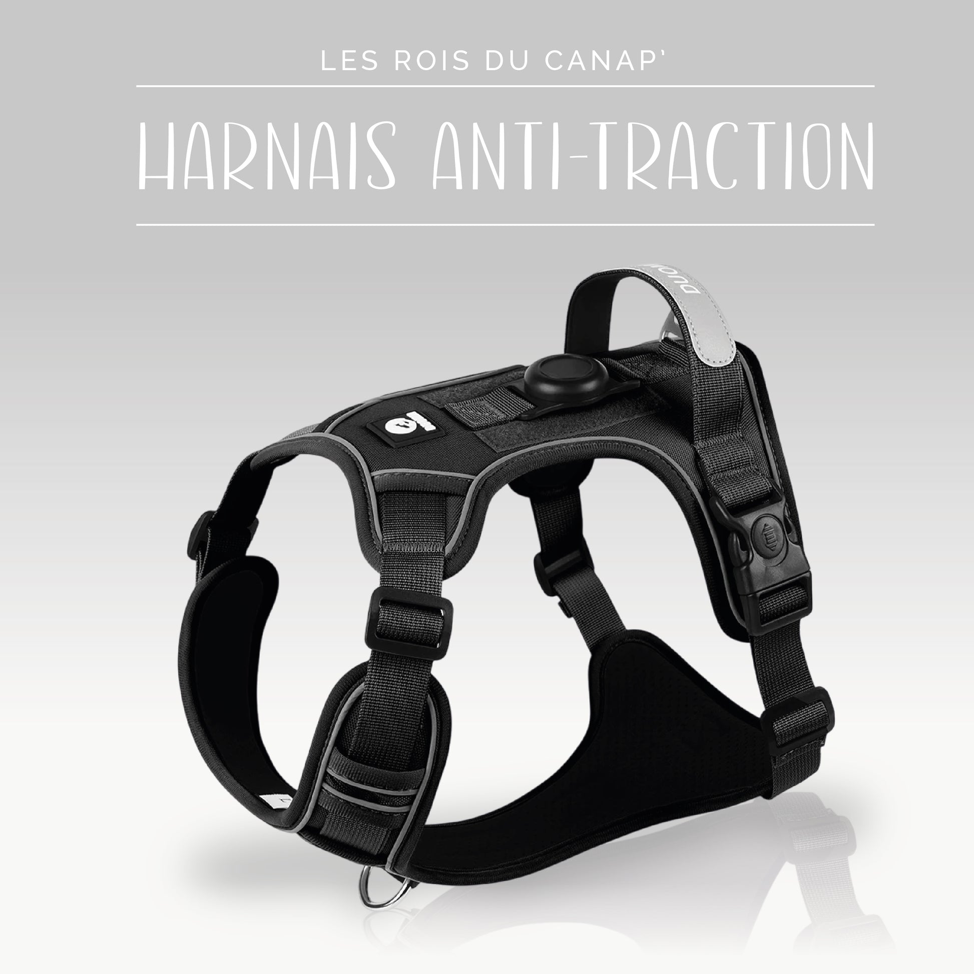 Harnais Anti-Traction Réfléchissant avec étui pour AirTag - Sauvegarde