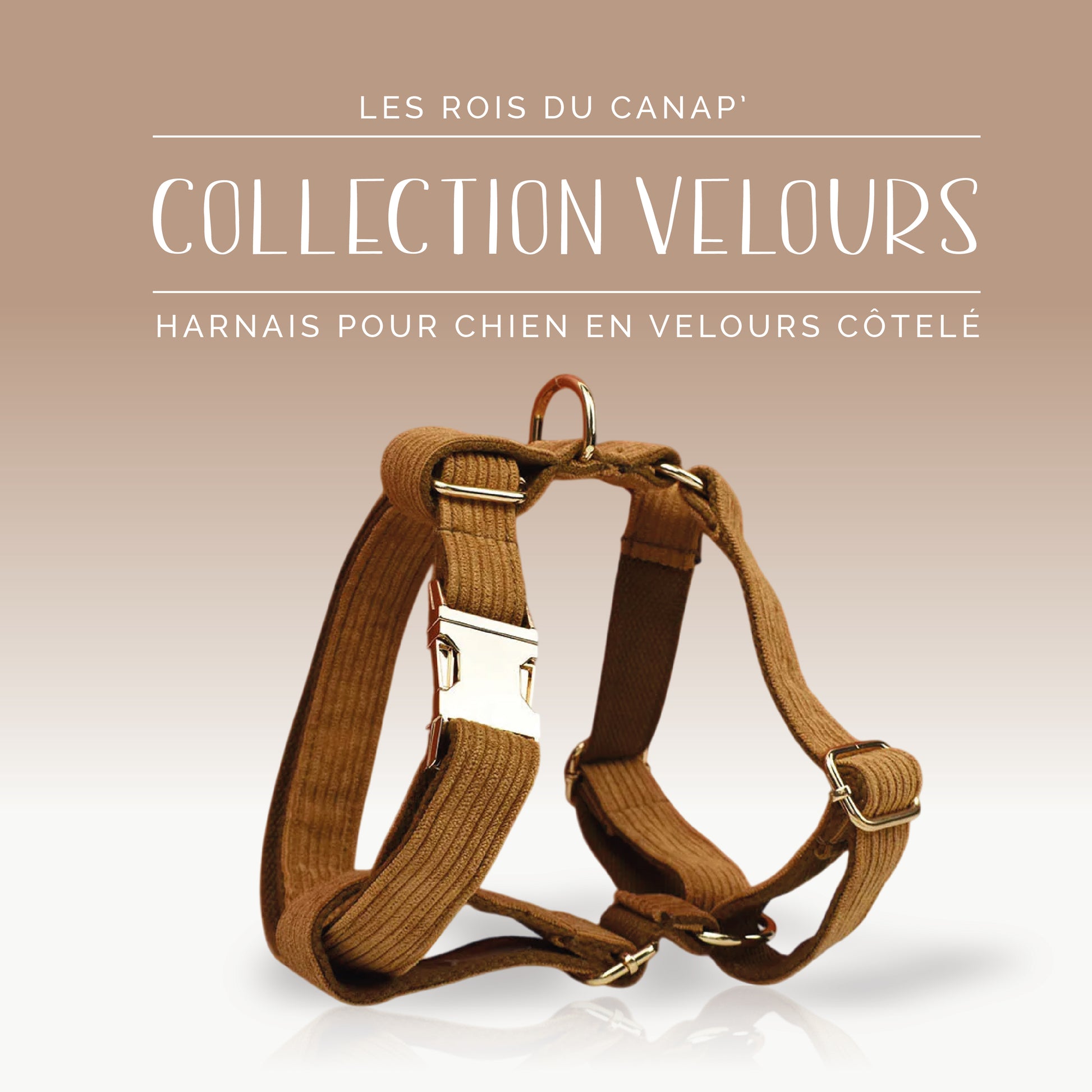 Harnais Chien - Velours - Marron - Collier Harnais Chien - Velours - Marron