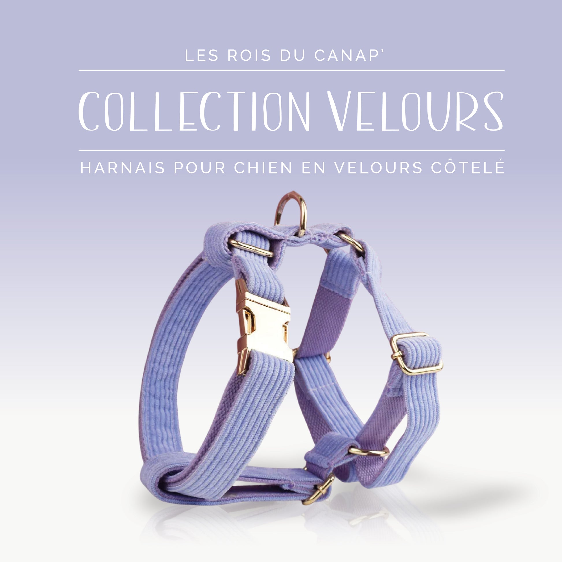 Harnais Chien - Velours - Mauve - Collier Harnais Chien - Velours - Mauve