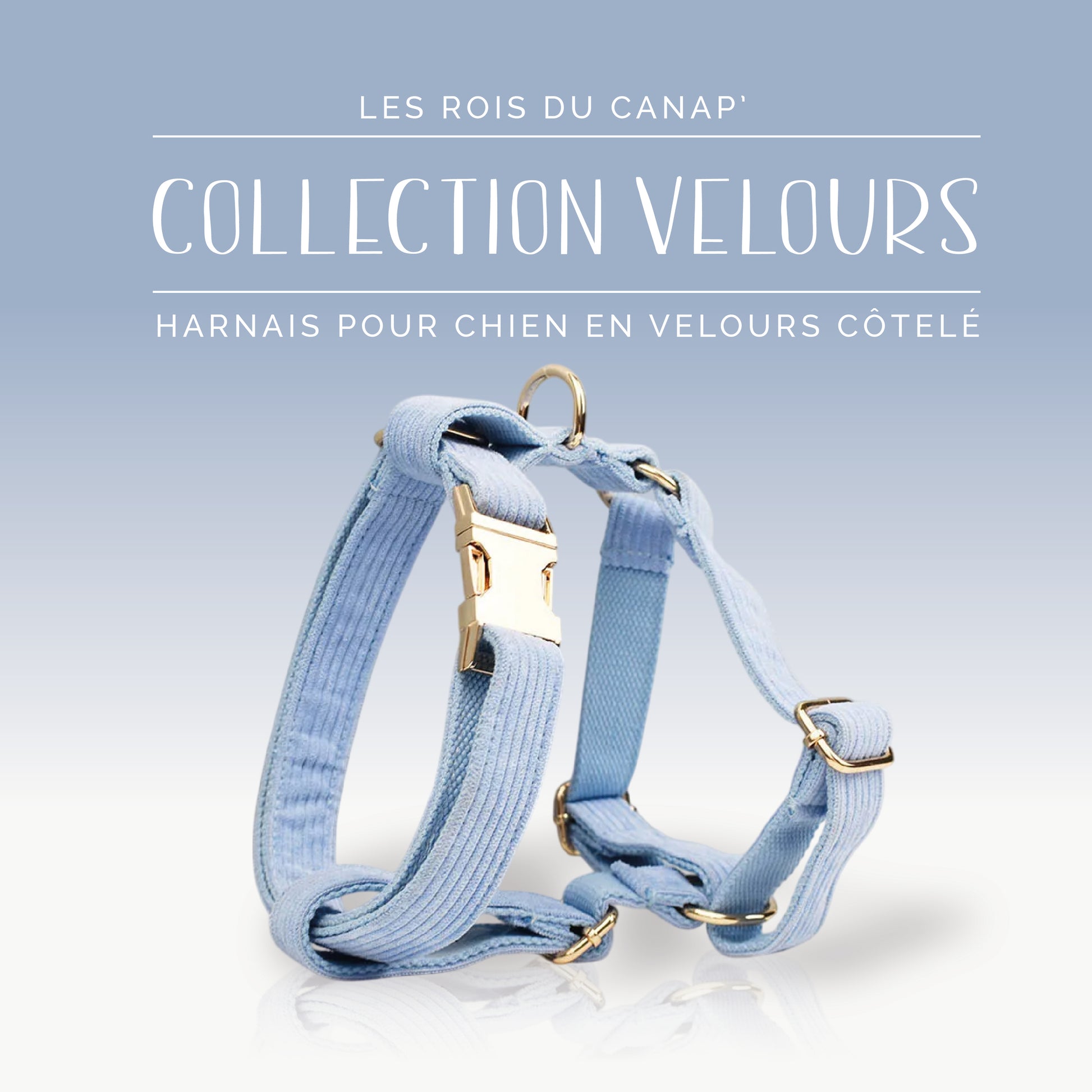 Harnais Chien - Velours - Bleu Ciel - Collier Harnais Chien - Velours - Bleu Ciel