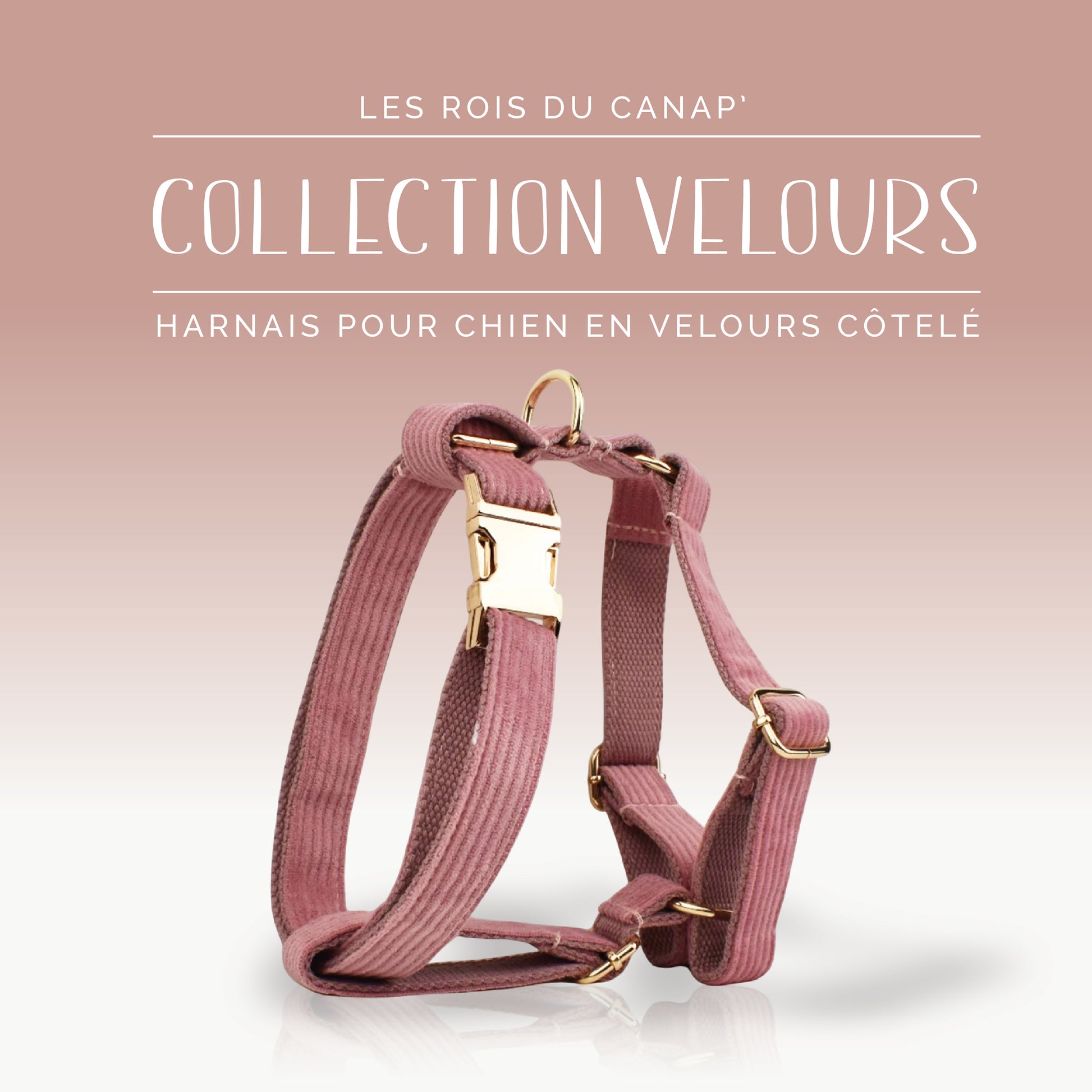 Harnais Chien - Velours - Rose Poudré - Collier Harnais Chien - Velours - Rose Poudré